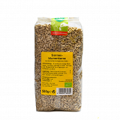Sunflower seed