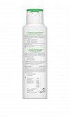 Mint and Lime Freshness Shampoo