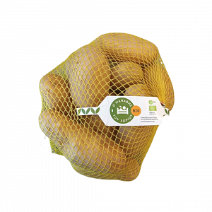 Domestic Potato