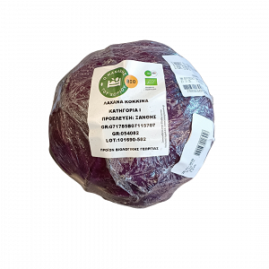 Domestic Red Cabbage