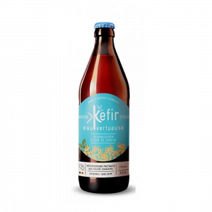 Sugar-Free Water Kefir with Elderberry