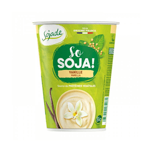 Plant based soya yogurt dessert with vanilla
