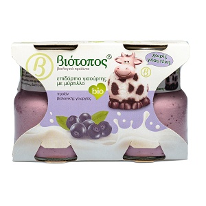 Gluten free yoghurt desert with blueberry flavor