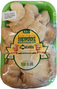 Βιολογικά Μανιτάρια Πλευρώτους Εγχώρια