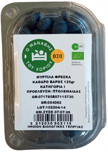 Organic Domestic Blueberries