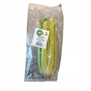 Imported Celery