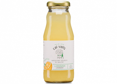 Lemon Fruit Drink