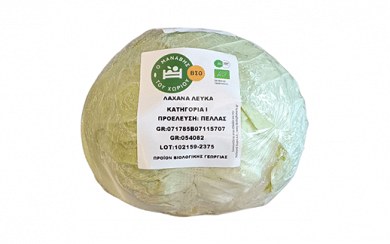 Domestic White Cabbage