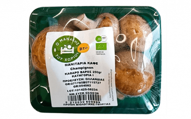 Imported Brown Champignon Mushrooms