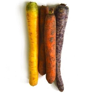 Colorful Carrots