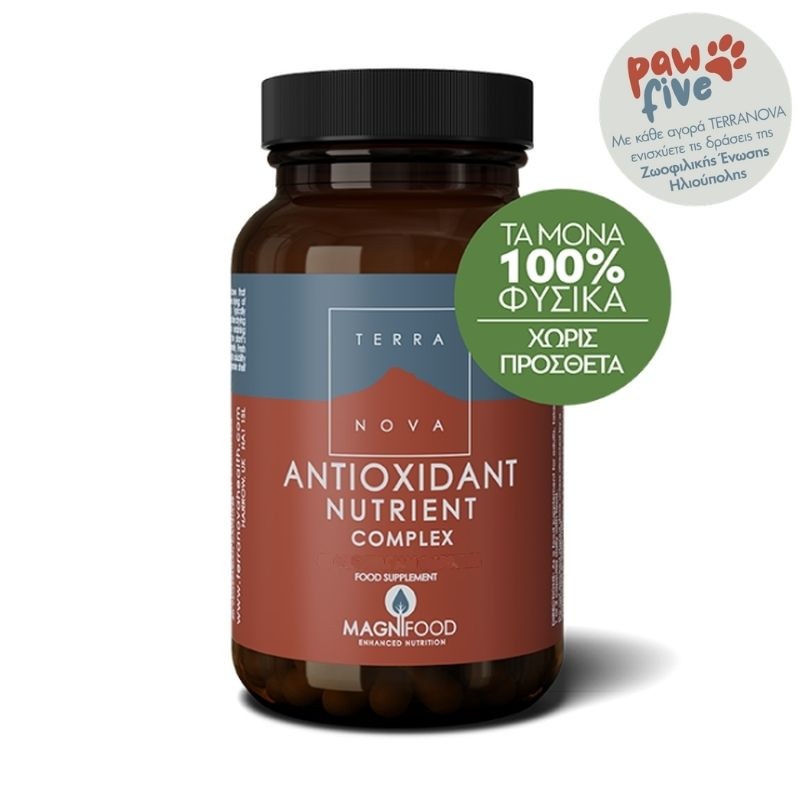 Αντιοξειδωτικό θρεπτικό σύμπλεγμα (Antioxidant Nutrient Complex) 100 φυτικές κάψουλες